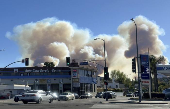 Incendios en Los Ángeles | “Pánico” y “confusión” ante alertas erróneas