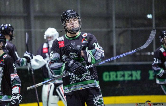 HOCKEY PATINES – Copa de Francia: El paso era demasiado alto para los Halcones Verdes