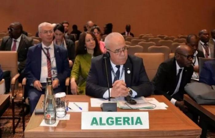 Argelia presenta sus iniciativas agrícolas en la Cumbre de la UA en Kampala: Un modelo de desarrollo sostenible y cooperación para la agricultura africana – VivAfrik