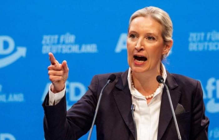 Conferencia del partido AfD: el candidato a canciller Weidel ataca a la CDU