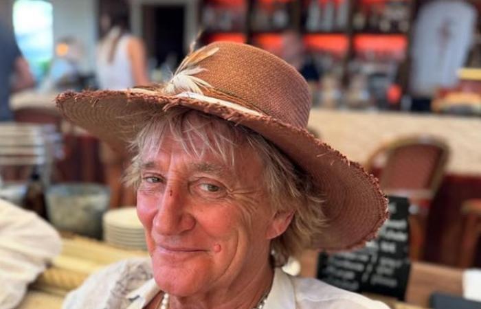 Penny Lancaster es una bomba rubia en una foto descubierta con Sir Rod Stewart