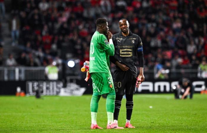 Samba-Mandanda: los secretos de un entendimiento cordial – Ligue 1 – J17 – Rennes-OM