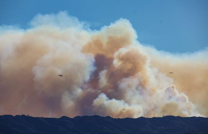 La prensa en California | Destrucción, desorden y ayuda mutua