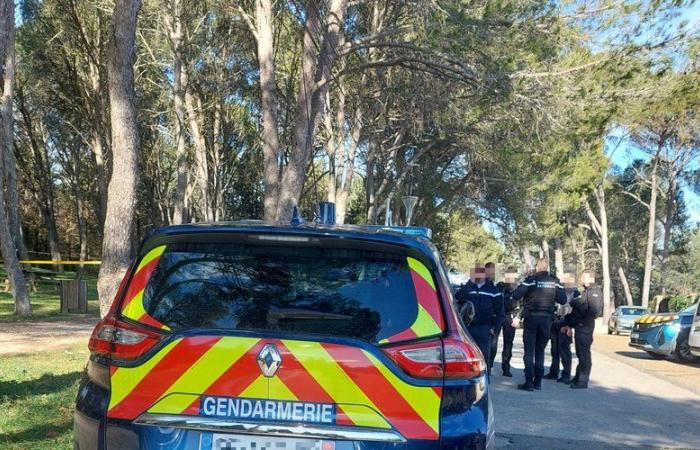 Un corredor fue atacado en la garganta con un cuchillo en un parque del Gard: el atacante se dio a la fuga, la zona acordonada