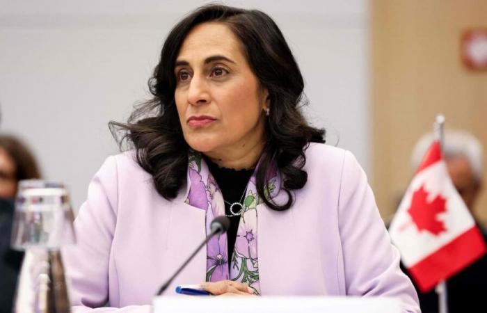 Liderazgo del PLC: Anita Anand no se presentará