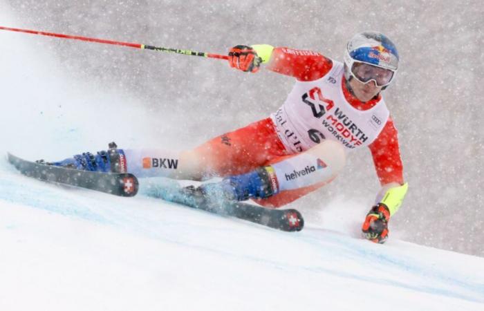 Adelboden | Gigante | Marco Odermatt para el pase de cuatro