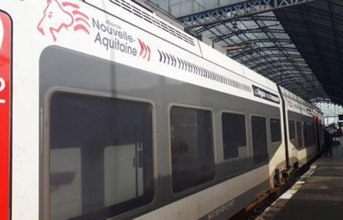 Varios trenes TER y TGV se retrasaron debido al robo de cables el viernes por la noche