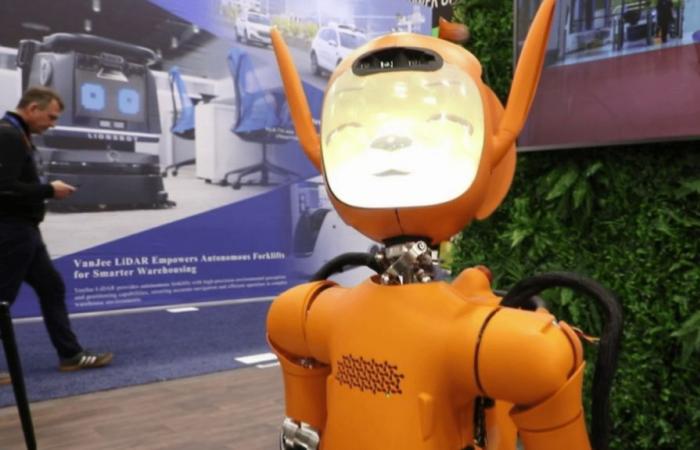 Los robots quieren entrar en nuestra vida diaria.