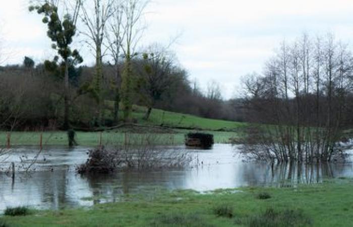 Cinco departamentos del noroeste de Francia siguen en alerta naranja por inundaciones