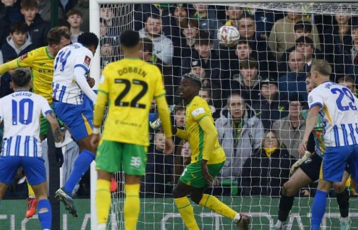 Norwich City 0-4 Brighton: informe del partido, valoraciones de los jugadores