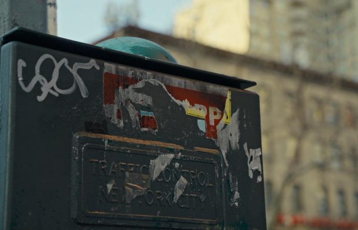 “RASGADO”: cómo los carteles de rehenes se convirtieron en objetivos en Nueva York