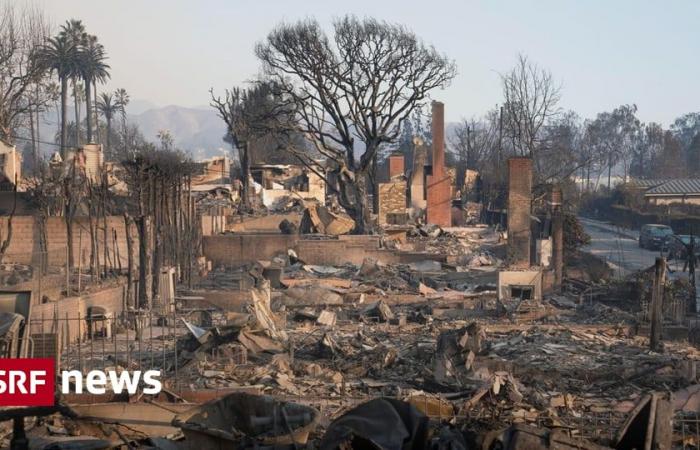 Incendio alrededor de Los Ángeles: nuevo incendio en el oeste, el número de muertos no está claro – Noticias