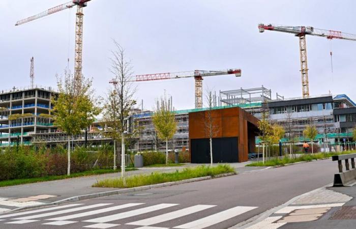 En Luxemburgo: construir más y más rápido: soluciones gubernamentales