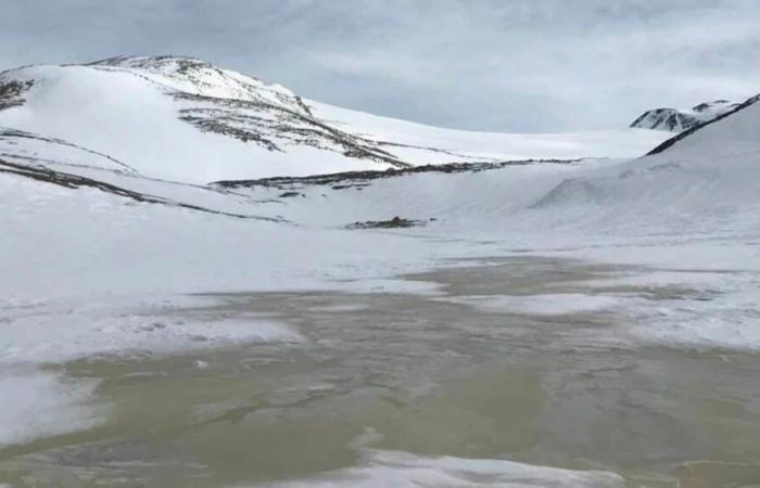 En el corazón del congelado lago Enigma de la Antártida, algo se escondía bajo 14 metros de hielo… hasta hoy