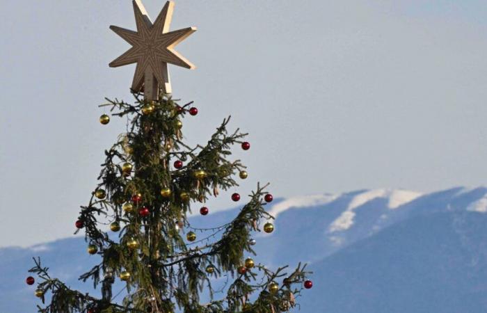 Incendio de árboles de Navidad en Friburgo