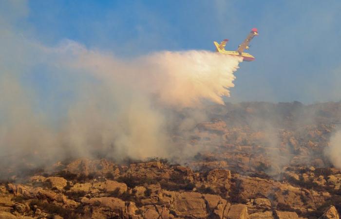 Incendios en el área de Los Ángeles | ¿Se puede apagar un incendio con agua de mar?