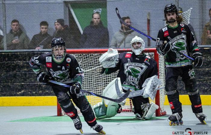 HOCKEY PATINES – Copa de Francia: El paso era demasiado alto para los Halcones Verdes