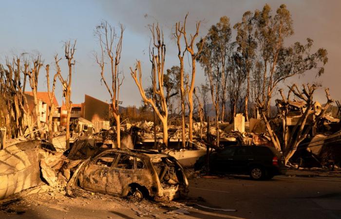 Los Ángeles | Los incendios se propagan a pesar de los esfuerzos de los bomberos