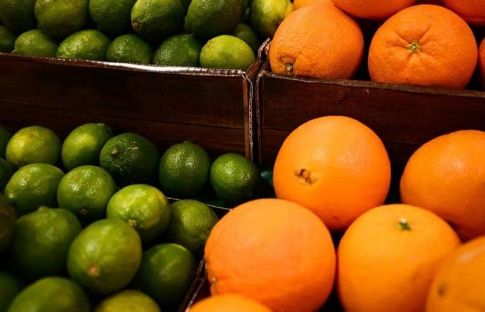 Recargo canadiense sobre las naranjas: ¿qué impacto real sobre el precio del zumo?