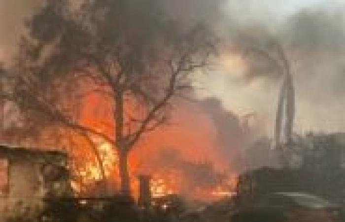 Incendios devastadores en Los Ángeles: el viento amaina pero aumenta el número de víctimas y aumentan las críticas