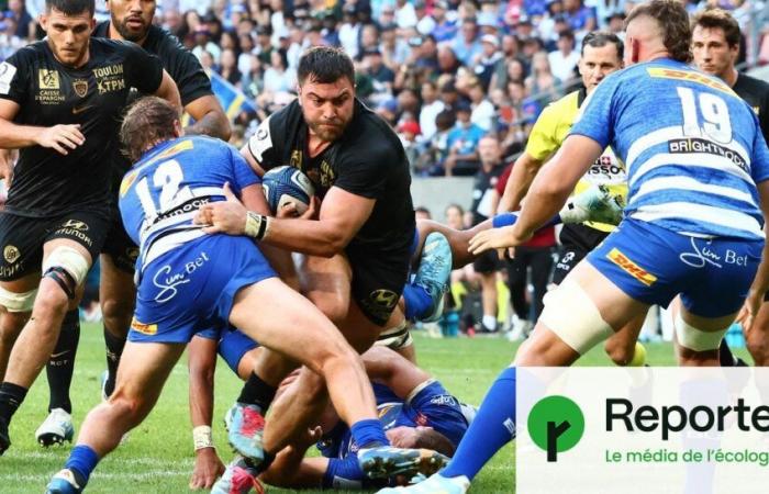 El despropósito ecológico del rugby europeo