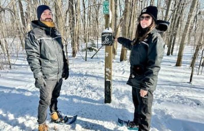 Raquetas de nieve en Mount Royal para olvidar el ruido de la ciudad