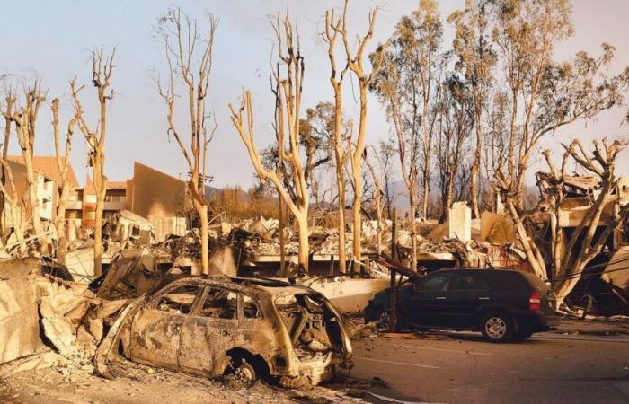 Incendios en Los Ángeles… nuevas órdenes de evacuación emitidas en varias zonas