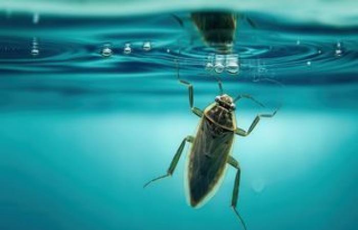 ¿El anticiclón se asentará a largo plazo sobre Francia o volverán pronto las lluvias y el viento?