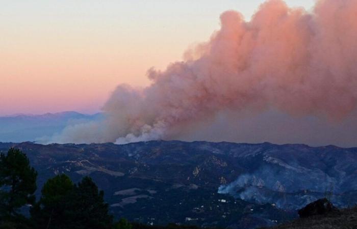 El Papa entristecido por los incendios que asolan Los Ángeles