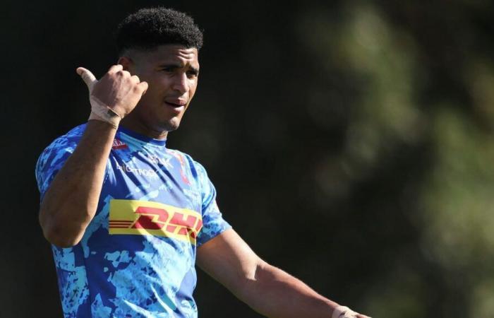 Springboks: la preocupante actualización de Feinberg-Mngomezulu después del ‘riesgo’ de Stormers : Planet Rugby