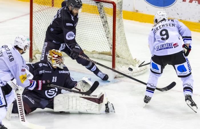 Genève-Servette vuelve a caer en sus fallos ante Fribourg-Gottéron