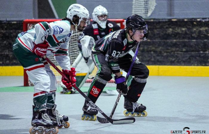 HOCKEY PATINES – Copa de Francia: El paso era demasiado alto para los Halcones Verdes