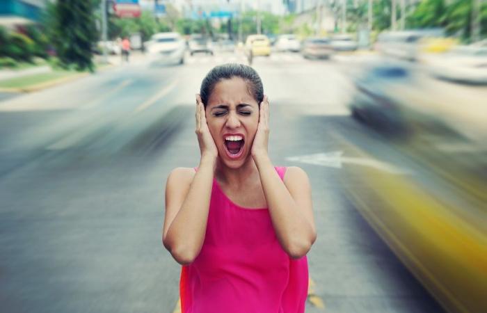 CONTAMINACIÓN RUÍSTICA: A mayor velocidad del tráfico, mayor estrés.