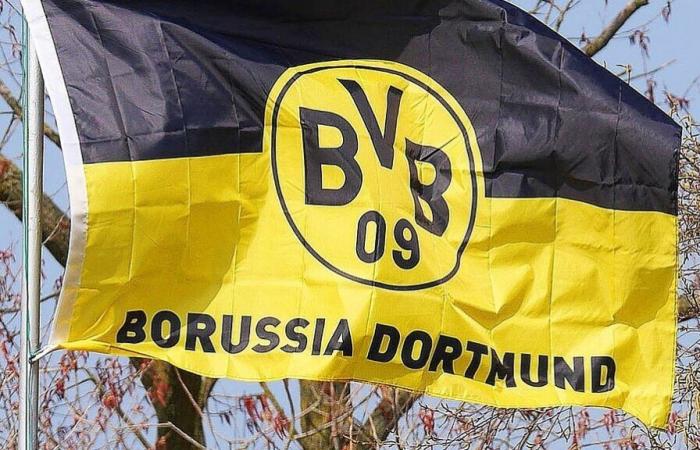 “Demasiado fácil”: el entrenador del BVB lucha con la defensa central – 11/01/25 – Noticias