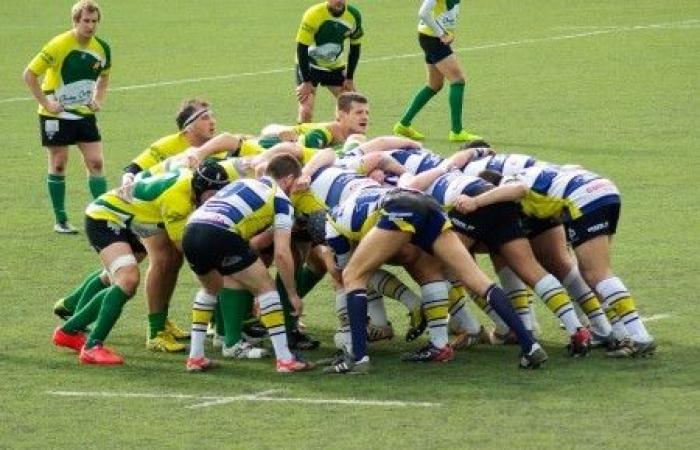 El despropósito ecológico del rugby europeo