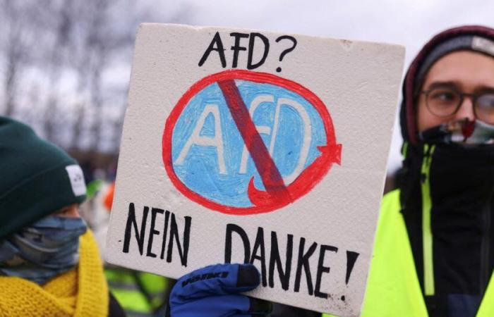 En Alemania, los manifestantes interrumpen un congreso de AfD