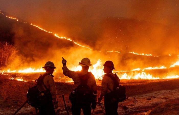 Incendios forestales en California: el gobernador Newsom invita a Trump a Los Ángeles, el negacionista del clima James Woods experimenta “milagros”