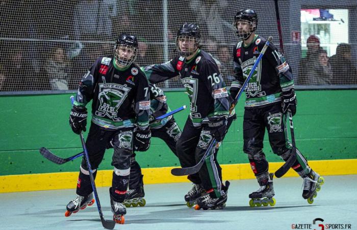 HOCKEY PATINES – Copa de Francia: El paso era demasiado alto para los Halcones Verdes