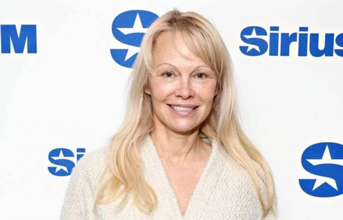 Pamela Anderson casi es ‘asesinada’ por un hombre en un avión