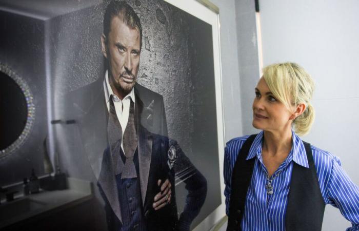 “Ya no queda nada”: imágenes de la casa de Laeticia Hallyday reducida a cenizas en Los Ángeles