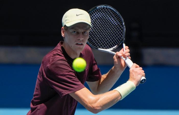 Entre una preparación interrumpida y un comienzo de temporada fallido, David Goffin habla antes de su entrada en la pelea por el Abierto de Australia