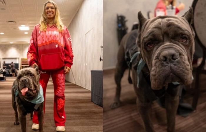 ¿Por qué Mackenzie Dern tuvo un perro de apoyo emocional con ella en la conferencia de prensa de UFC Vegas 101? ¿Aparecerá el perro el día de la pelea?