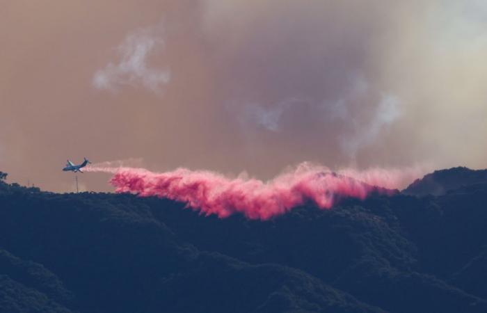 La prensa en California | Destrucción, desorden y ayuda mutua