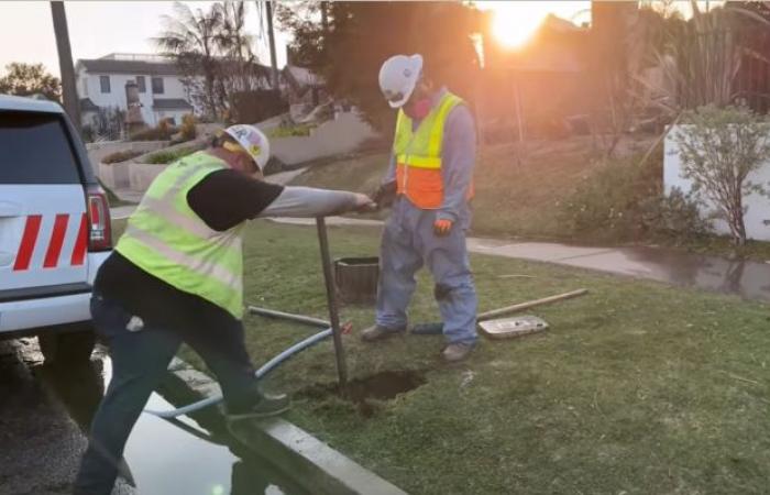 Actualización de respuesta a tormentas de viento de LADWP: domingo 12 de enero de 2025: 7 a.m.