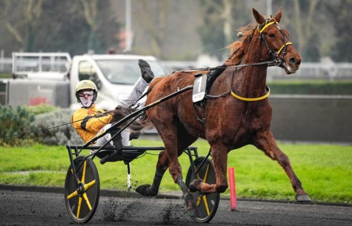 Iroise de la Noé se invita al baile americano