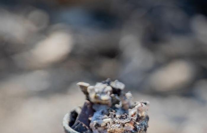 Una mirada al desastre del incendio de Los Ángeles