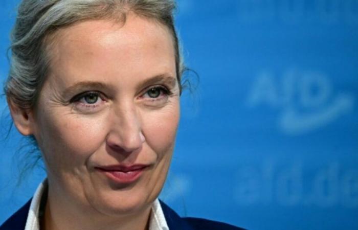 Alice Weidel, la Dama de Hierro de la extrema derecha alemana: Noticias