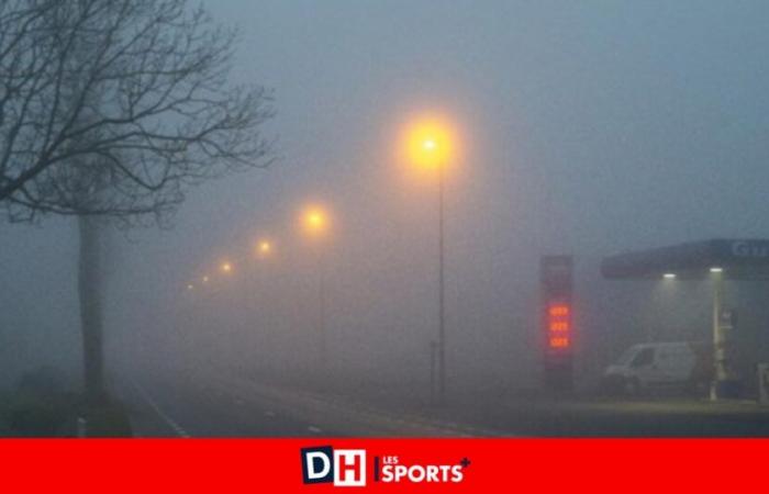 Clima: alerta amarilla por niebla helada en nuestras carreteras