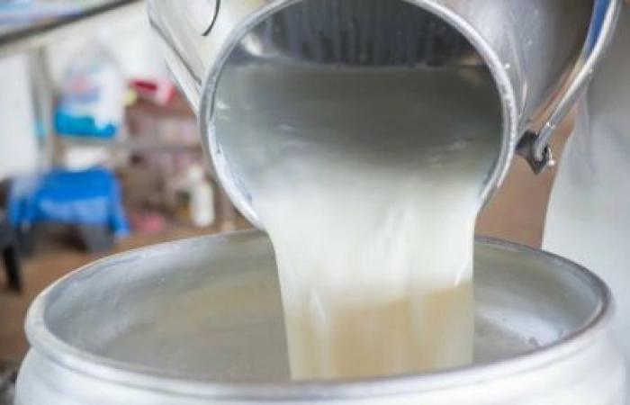 Senegal quiere inspirarse en el modelo ugandés para impulsar su producción de leche