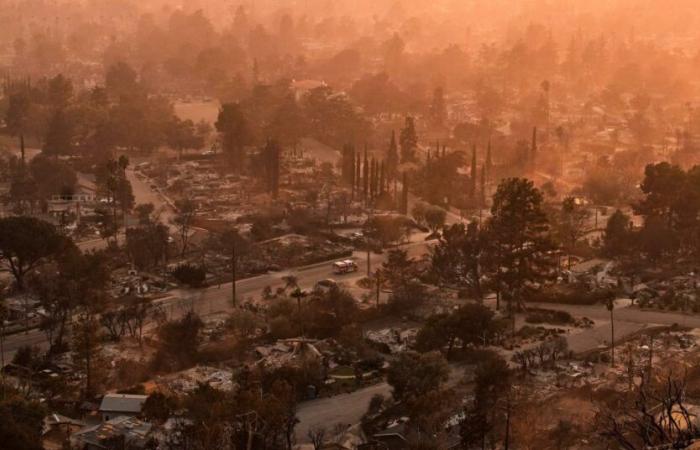 ¿Qué provocó los mortales incendios forestales de California?